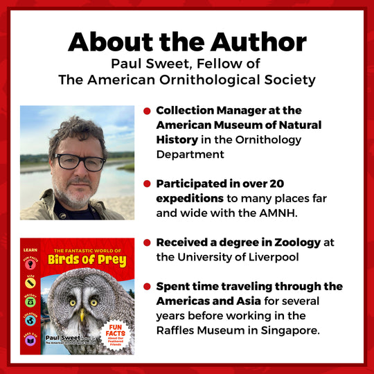 The Fantastic World of Birds of Prey