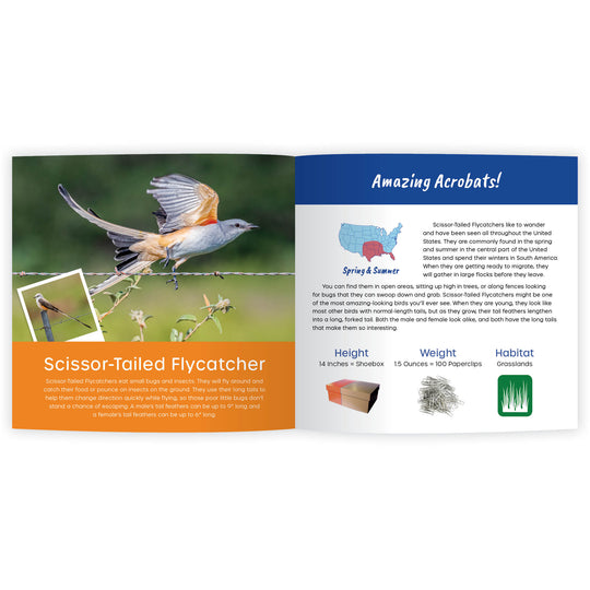 My Book of Amazing Birds: Fun Facts & Surprising Secrets (Digital eBook)