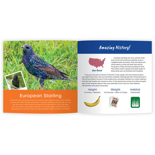 My Book of Amazing Birds: Fun Facts & Surprising Secrets (Digital eBook)