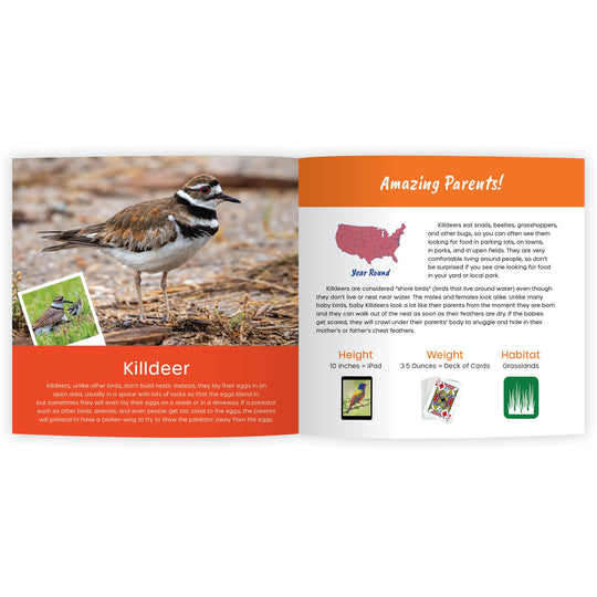 My Book of Amazing Birds: Fun Facts & Surprising Secrets.