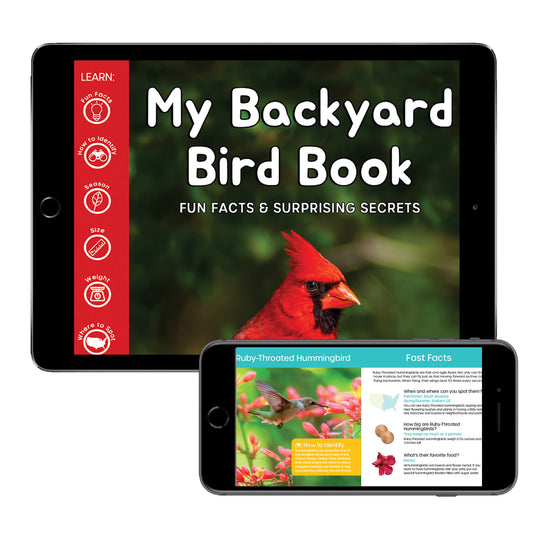 My Backyard Bird Book: Fun Facts & Surprising Secrets (Digital eBook)