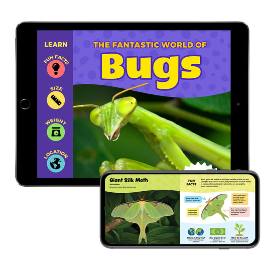The Fantastic World of Bugs (Digital eBook)