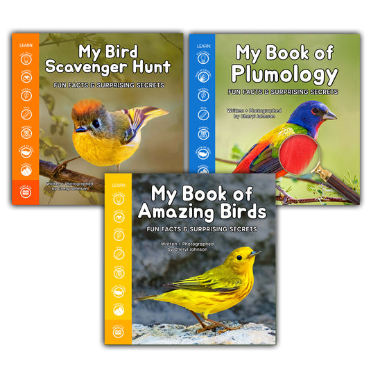 My Bird Book Bundle (3 Books)