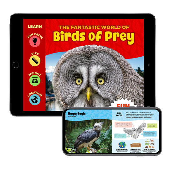 The Fantastic World of Birds of Prey (Digital eBook)
