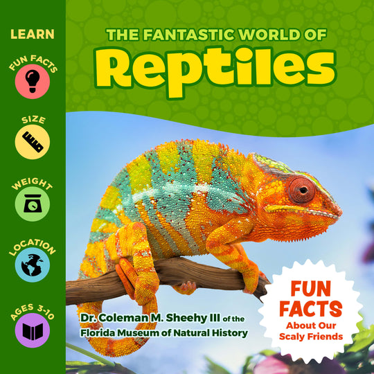 "The Fantastic World" Bundle (6 Books)