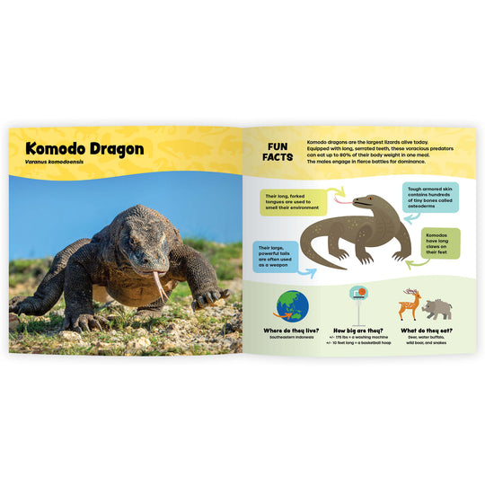 The Fantastic World of Reptiles (Digital eBook)