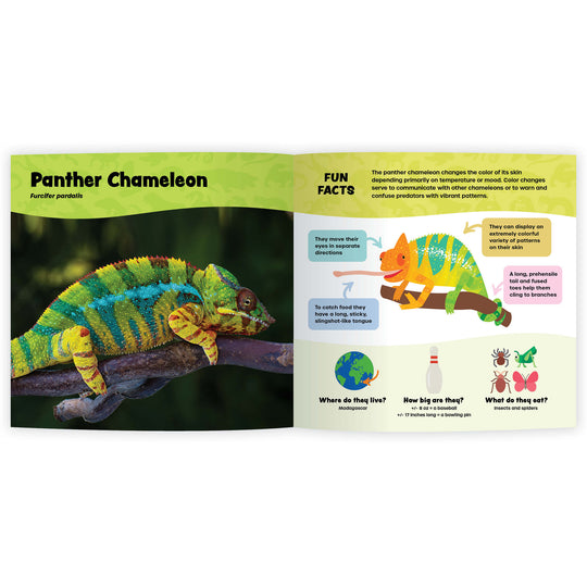 The Fantastic World of Reptiles (Digital eBook)