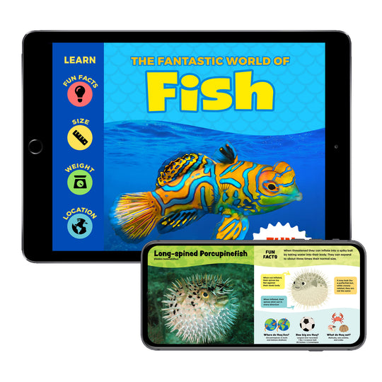 The Fantastic World of Fish (Digital eBook)