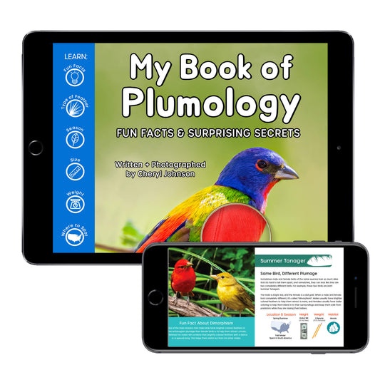 My Book of Plumology: Fun Facts & Surprising Secrets (Digital eBook)