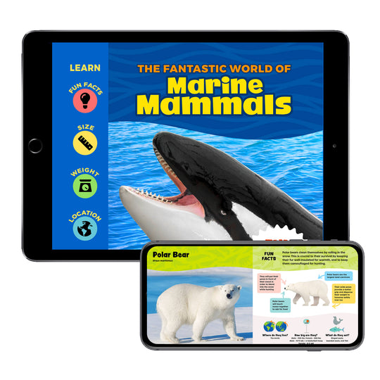 The Fantastic World of Marine Mammals (Digital eBook)
