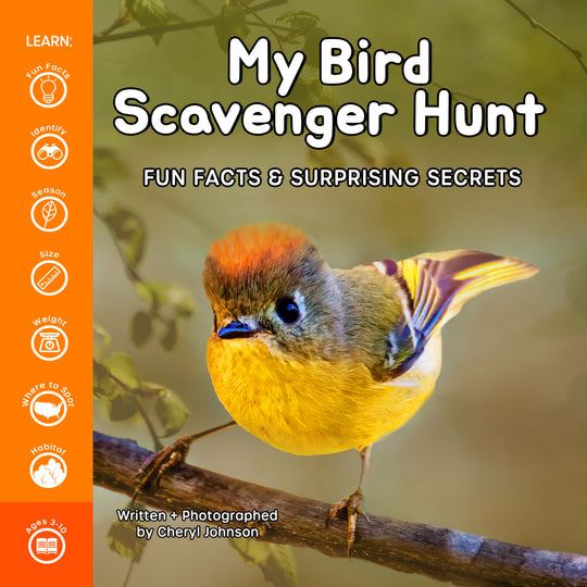 My Bird Scavenger Hunt: Fun Facts & Surprising Secrets.
