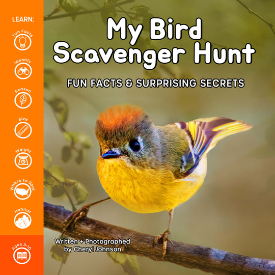 My Bird Book Bundle (3 Books)