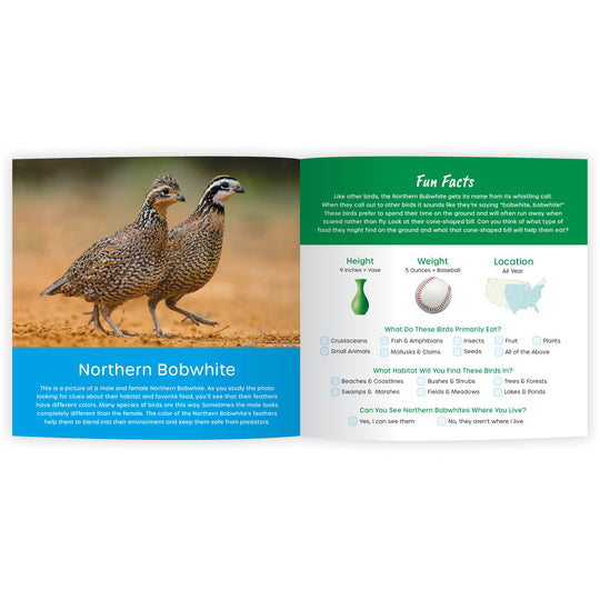 My Bird Scavenger Hunt: Fun Facts & Surprising Secrets (Digital eBook)