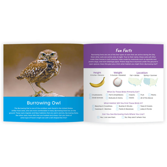 My Bird Scavenger Hunt: Fun Facts & Surprising Secrets (Digital eBook)