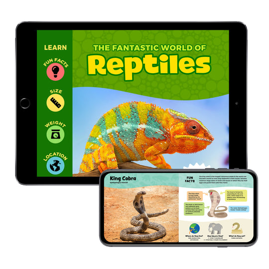 The Fantastic World of Reptiles (Digital eBook)