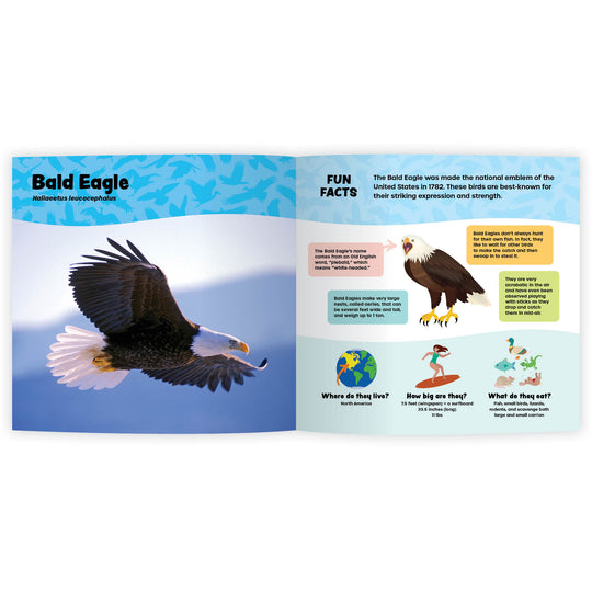 The Fantastic World of Birds of Prey (Digital eBook)