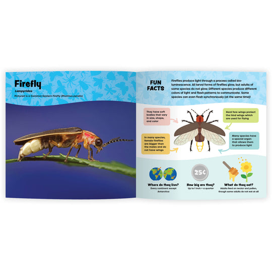 The Fantastic World of Bugs (Digital eBook)