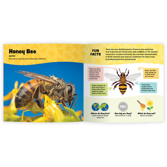 The Fantastic World of Bugs (Digital eBook)
