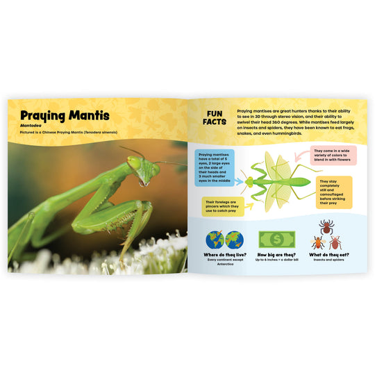 The Fantastic World of Bugs (Digital eBook)