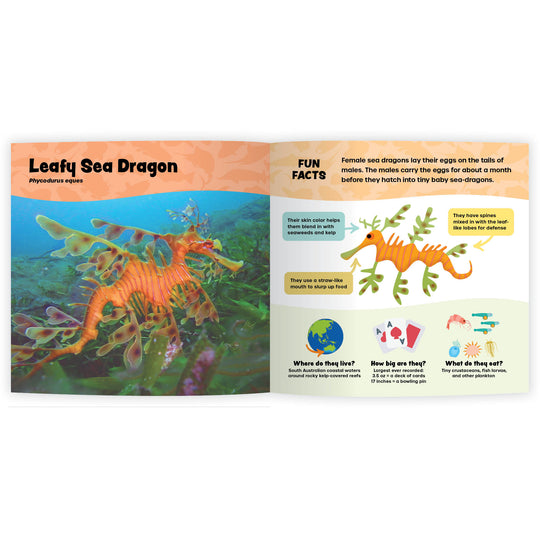The Fantastic World of Fish (Digital eBook)