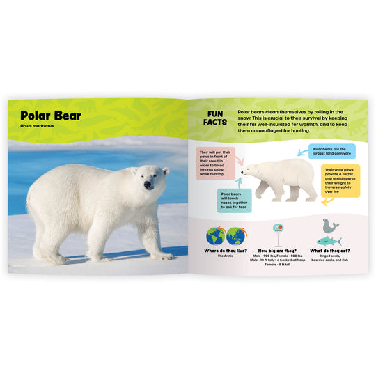 The Fantastic World of Marine Mammals