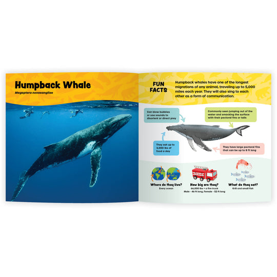 The Fantastic World of Marine Mammals
