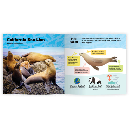 The Fantastic World of Marine Mammals