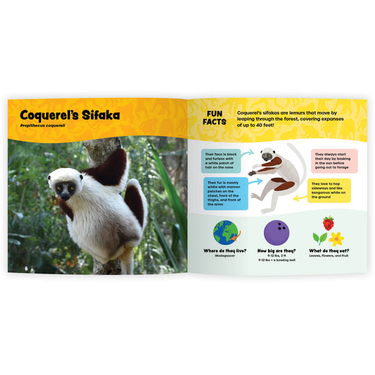 The Fantastic World of Monkeys & Apes and More (Digital eBook)