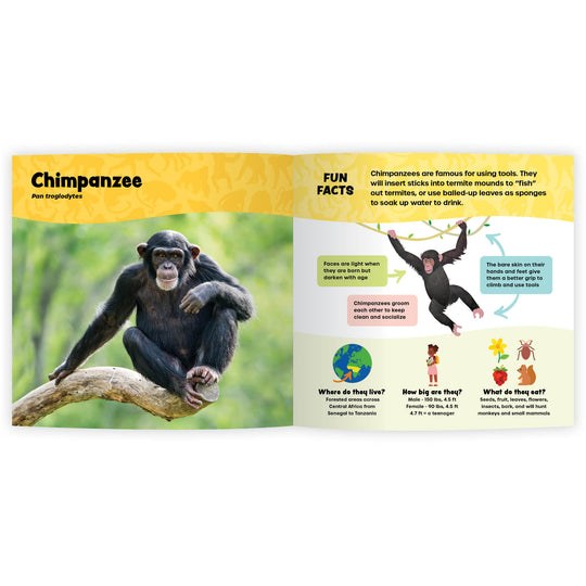 The Fantastic World of Monkeys & Apes and More (Digital eBook)
