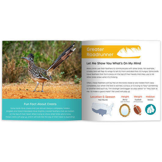 My Book of Plumology: Fun Facts & Surprising Secrets.