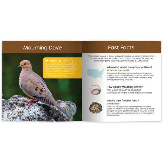 My Backyard Bird Book: Fun Facts & Surprising Secrets