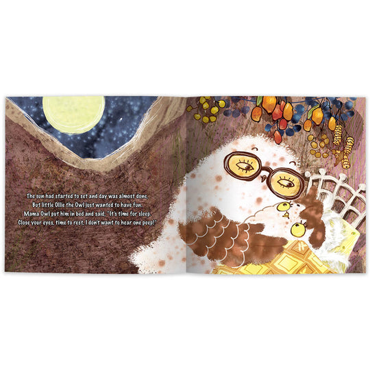 Sleep Tight Little Night Owl: A Time-to-Go-to-Sleep Story