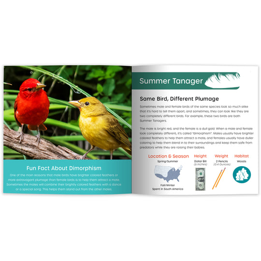 My Book of Plumology: Fun Facts & Surprising Secrets