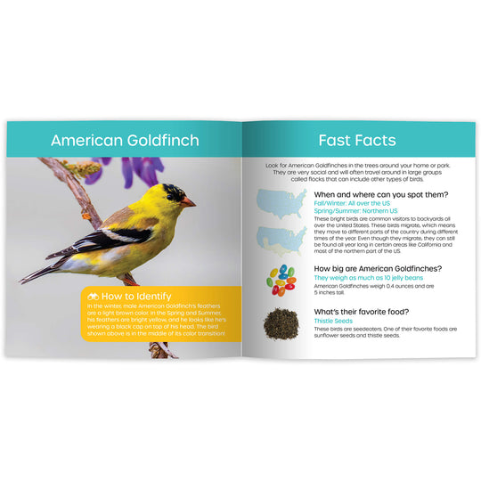 My Backyard Bird Book: Fun Facts & Surprising Secrets (Digital eBook)