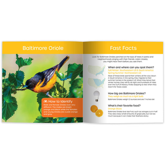 My Backyard Bird Book: Fun Facts & Surprising Secrets