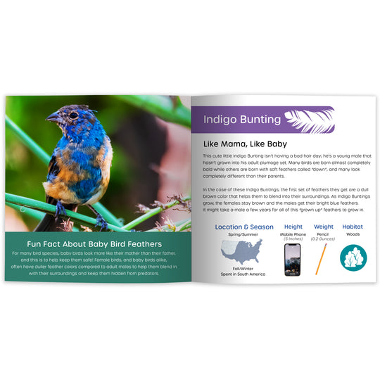 My Book of Plumology: Fun Facts & Surprising Secrets